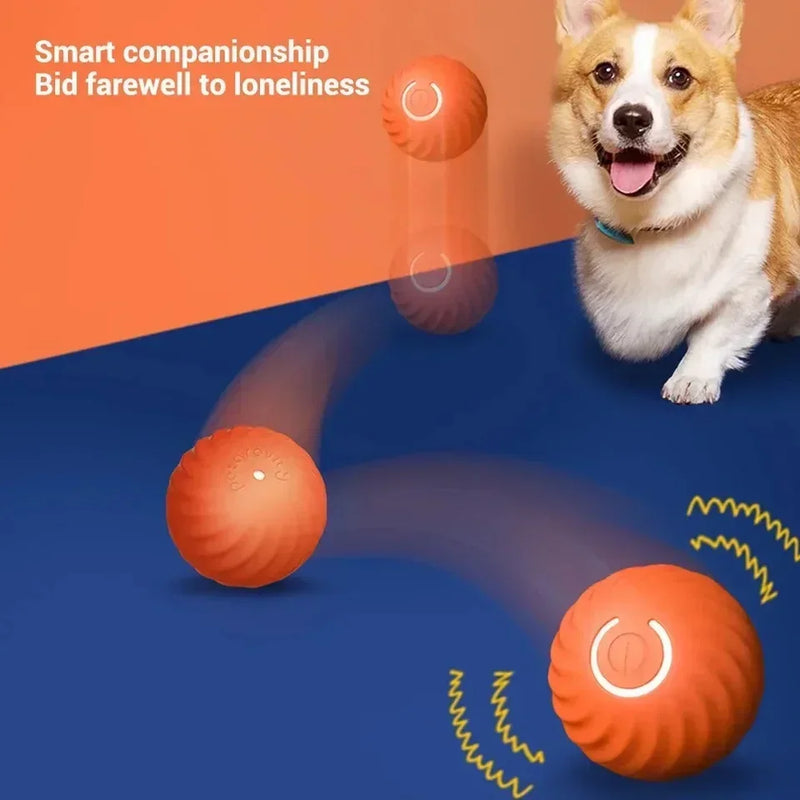 Automático eletrônico interativo treinamento Pet Toy, Brinquedo do cão inteligente, Gravidade movendo bola, Brinquedos de rolamento ativo recarregável