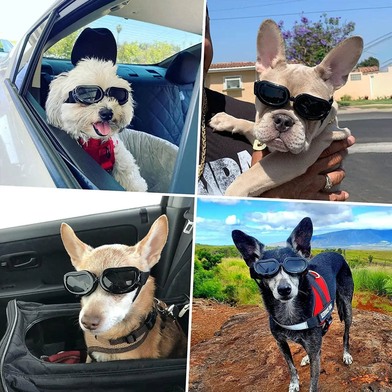 Capacete e óculos de sol para cães ATUBAN, óculos de proteção UV para cães, chapéu esportivo para cães médios, para caminhadas ao ar livre