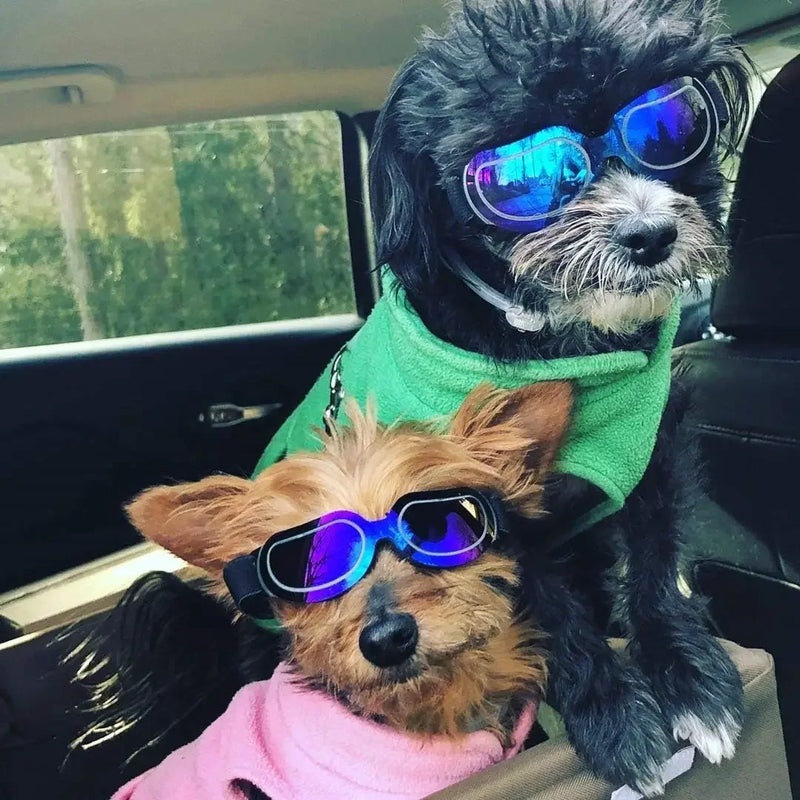 Capacete e óculos de sol para cães ATUBAN, óculos de proteção UV para cães, chapéu esportivo para cães médios, para caminhadas ao ar livre