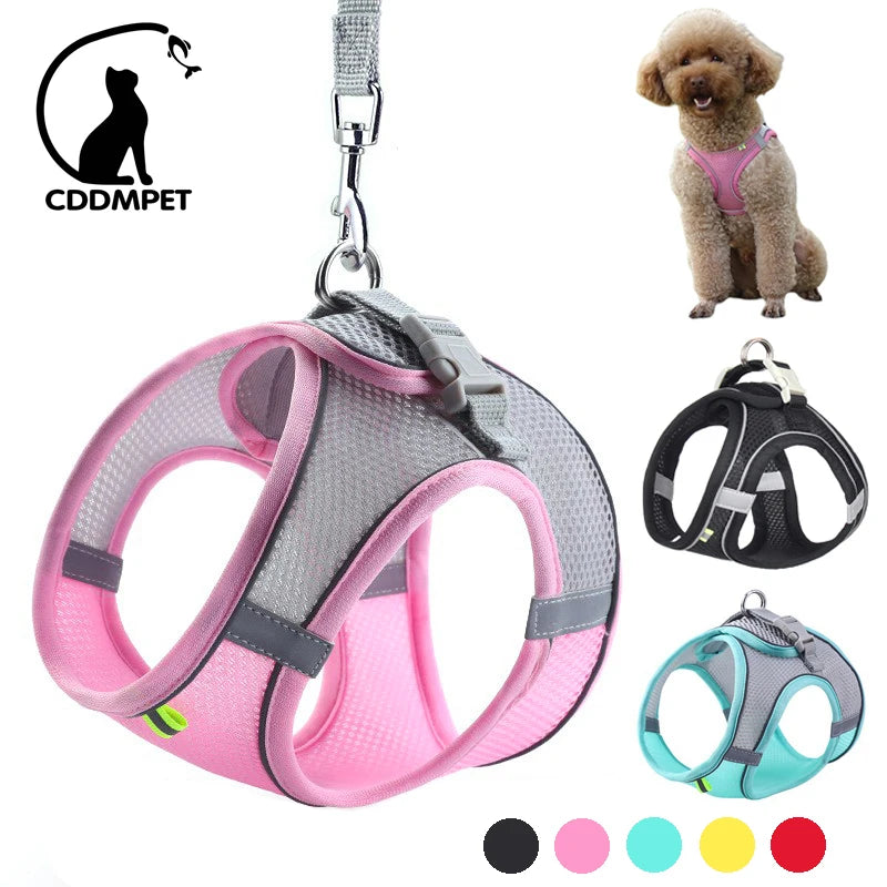 Conjunto de coleira para cães pequenos, coleira ajustável para cachorros e gatos, buldogue francês, chihuahua, pug, caminhada ao ar livre