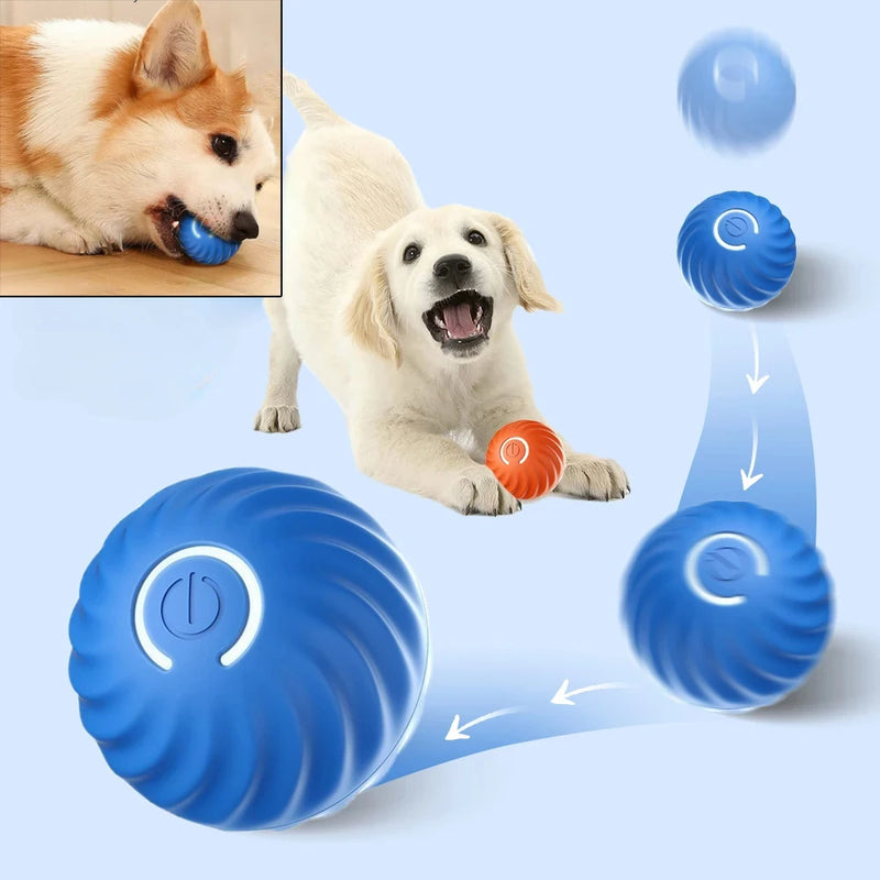 Movimento automático Bouncing Rolling Ball para Dog, USB, Inteligente, Interativo, Mastigar Brinquedo, Cachorro