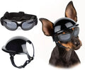 Capacete e óculos de sol para cães ATUBAN, óculos de proteção UV para cães, chapéu esportivo para cães médios, para caminhadas ao ar livre