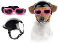 Capacete e óculos de sol para cães ATUBAN, óculos de proteção UV para cães, chapéu esportivo para cães médios, para caminhadas ao ar livre