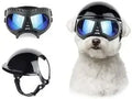 Capacete e óculos de sol para cães ATUBAN, óculos de proteção UV para cães, chapéu esportivo para cães médios, para caminhadas ao ar livre